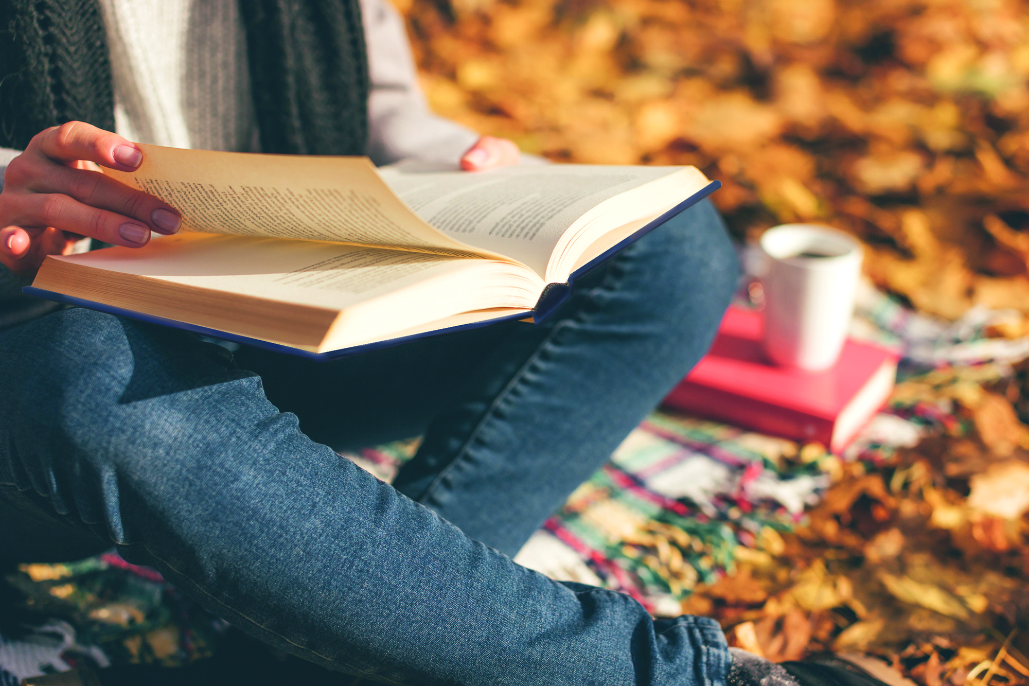 El libro Doce y Doce