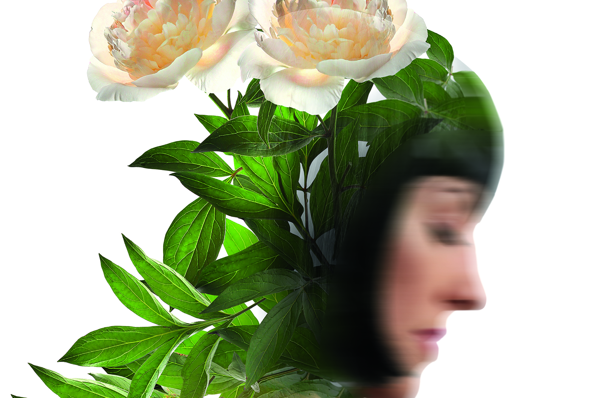 Decidí escuchar