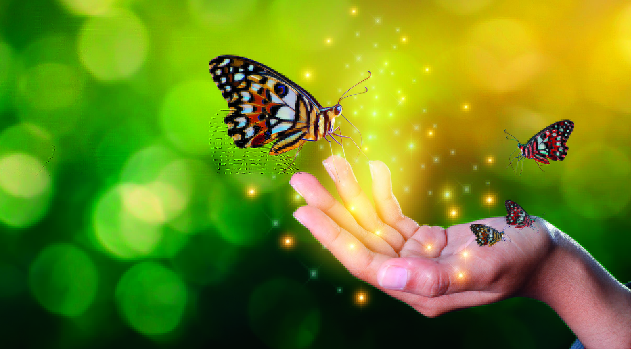 Mariposa Monarca