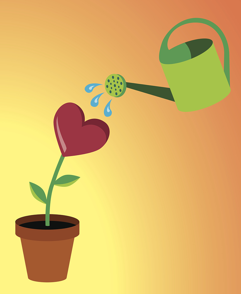 Una semilla bien plantada