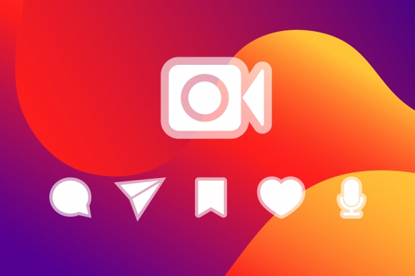 ¡Sigue a Grapevine y La Viña en Instagram!