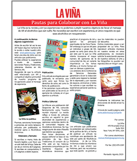 Icono Pautas para Colaborar LV