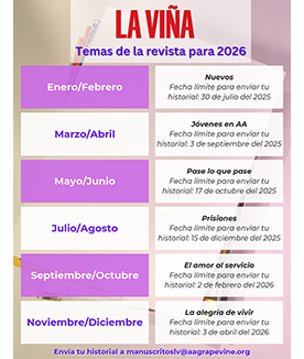 Temas de LV 2026 y 2027