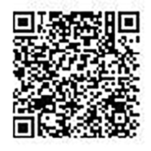 Google Store QR for LV