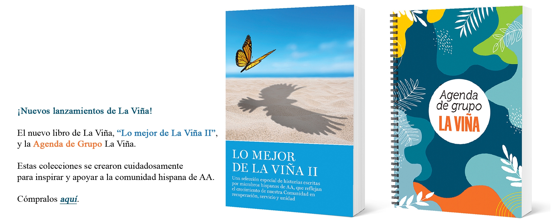 Nuevos 2025 de LV